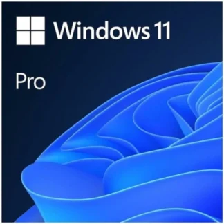 FQC-10572 Windows ESD 11 Pro Elektronik Lisans