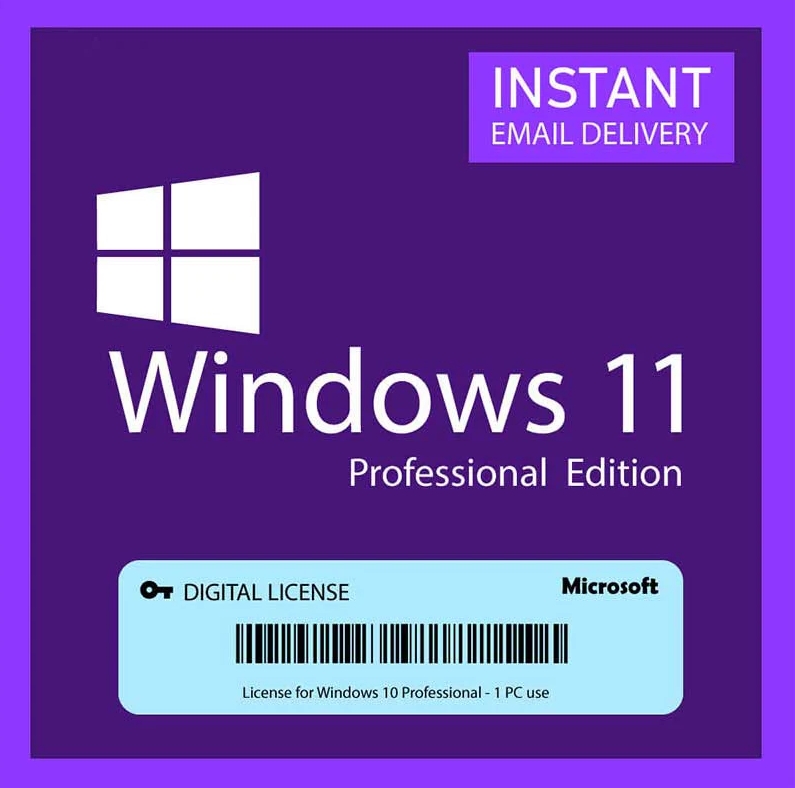 Windows 11 Pro